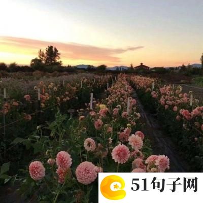 比较有内涵的单个汉字_没有水的鱼怎么游 