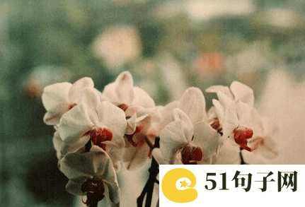 劲舞团游戏女网名_退到无路可退 