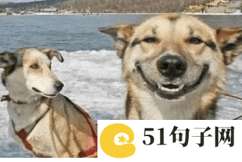 女生昵称古风淡雅两个字 
