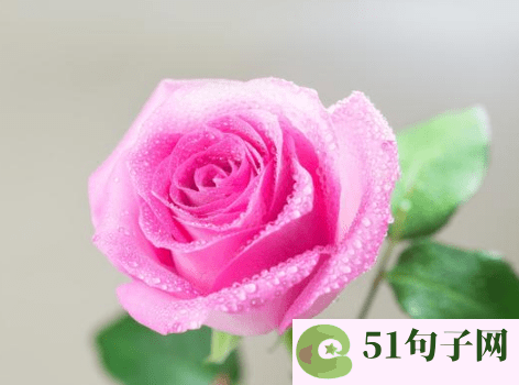 带名字的吃鸡id 