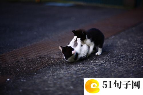 家族网名 