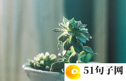 甜蜜创意情侣名宠溺无边 