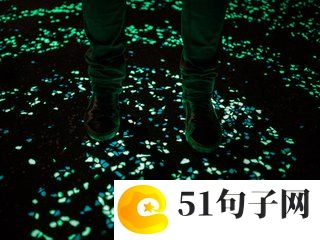网名大全2019 8个字 花开▽蝶相护 