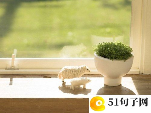 2019扣扣好听的网名 