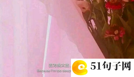 2022最新版的微信网名两个字_黑天鹅之梦 