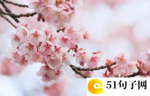 想念一个人网名 