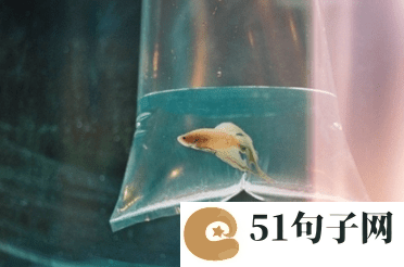 好听优雅的女生八个字网名 首尔街头的星斗。 
