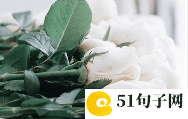 最新伤感网名女生 帝灭轩 