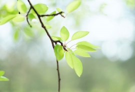 欧美范英文网名带翻译