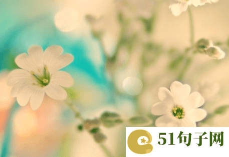 一眼惊艳的古风名字两字_笑如烟霞 