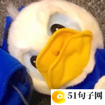 独一无二情侣网名可爱 