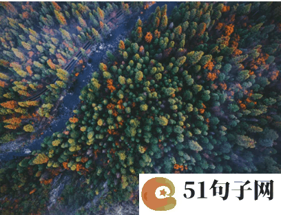 2019微信网名英文 忘不了，那段情 