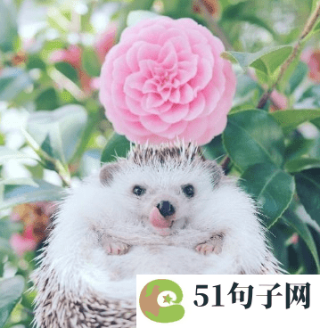 情侣间搞笑有趣的昵称 迷你裙&deg;小美 
