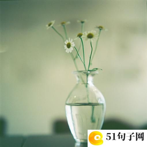 炫酷网名女 