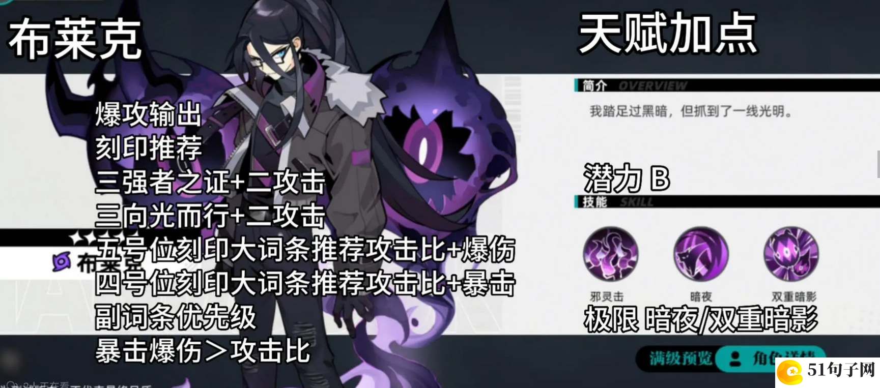 赛尔计划布莱克刻印搭配攻略