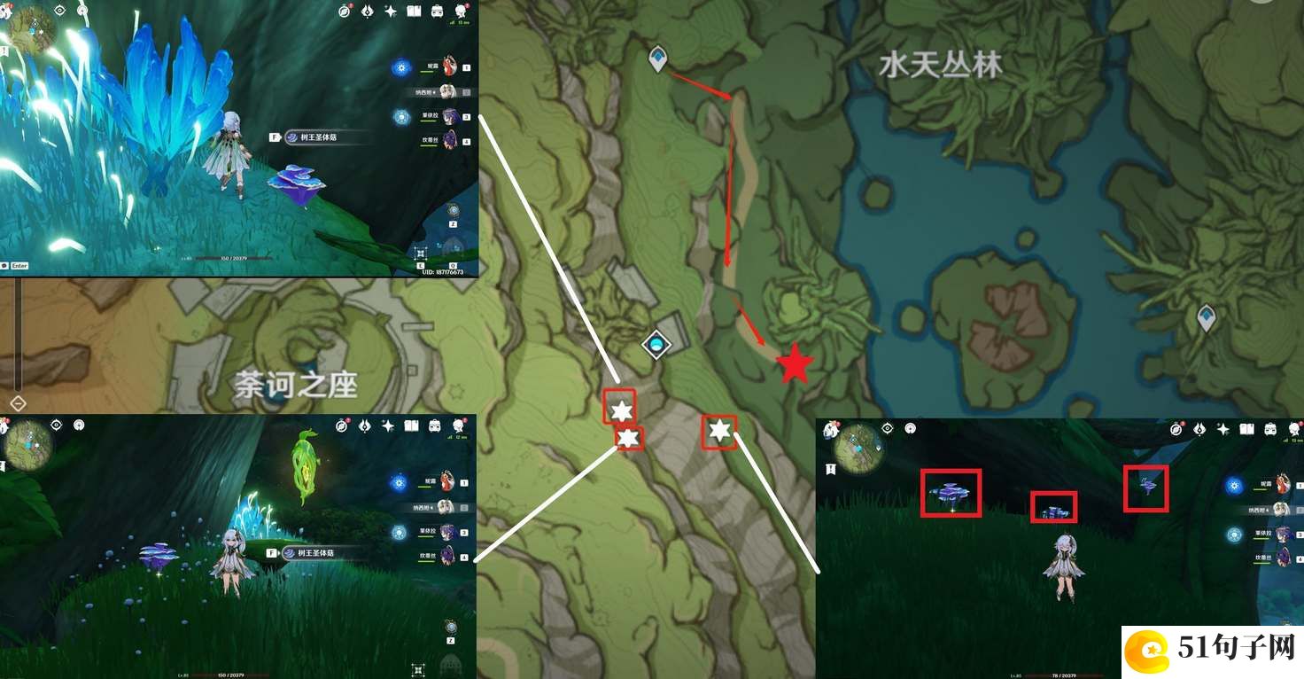 原神树王圣体菇采集路线图分享2023