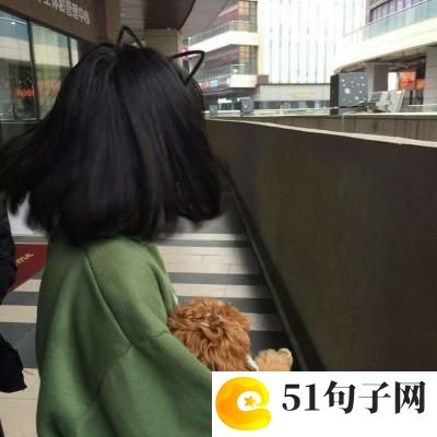 我心中的歌作文 