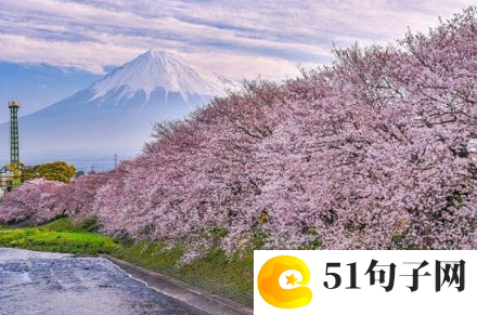 地球保卫战作文 