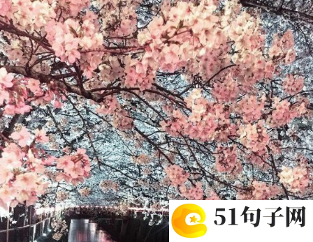 来时的路作文 