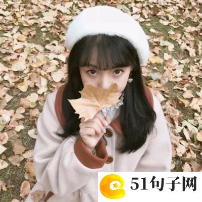 我和校园的故事 我与校园的故事作文 
