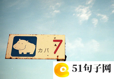 我的姐姐作文350字 