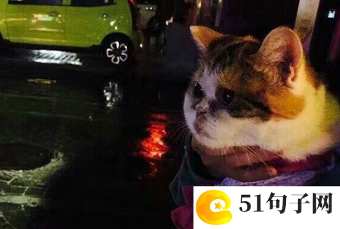 那些灿烂的细节作文 