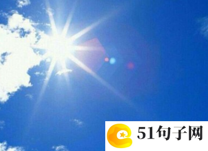 太平森林公园作文 