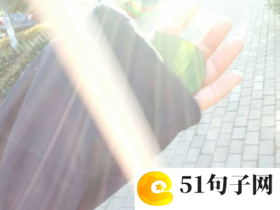 关于沙湖游记作文(通用21篇) 