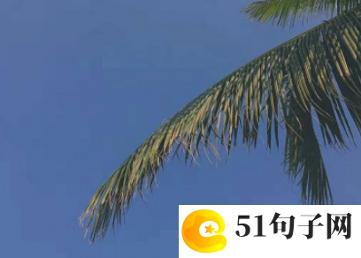 失败的作文