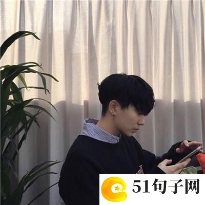 动物英语作文 