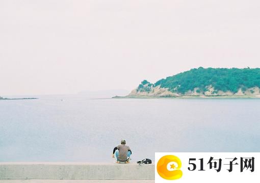 我家的后院作文 