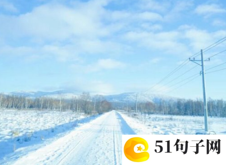 高一新年作文800字(精选10篇) 