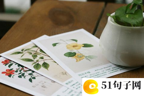 友情的小学作文 