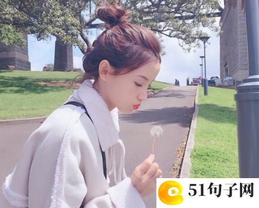 写吊兰的作文(精选24篇) 我的植物朋友吊兰400字作文 