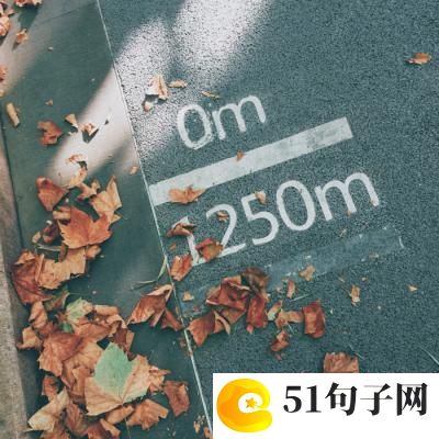白鸽的说明文 