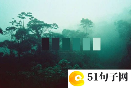 我喜欢的小动物二年级作文范文200字左右4篇 