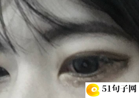 我的未来不是梦初中作文 