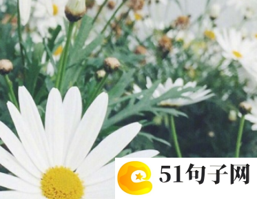 我心中的桃花源的作文 
