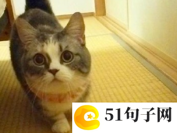 幸福初二话题作文 