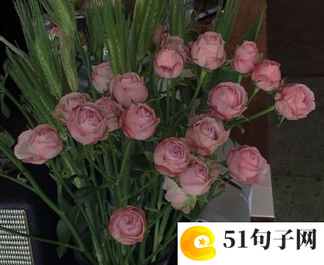 难忘那张慈祥的脸作文800字 