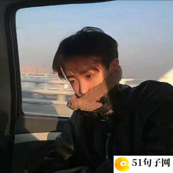 我最喜欢的动物小猫作文450字 