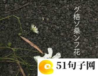光芒作文 